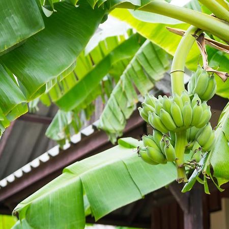 Weekender Bungalow Hotel Lamai Beach  Exterior photo